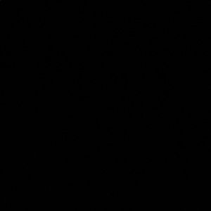 Meet your Posher, Sunita